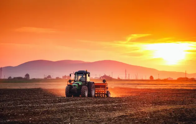 В Україні скоротиться врожай зернових – USDA 